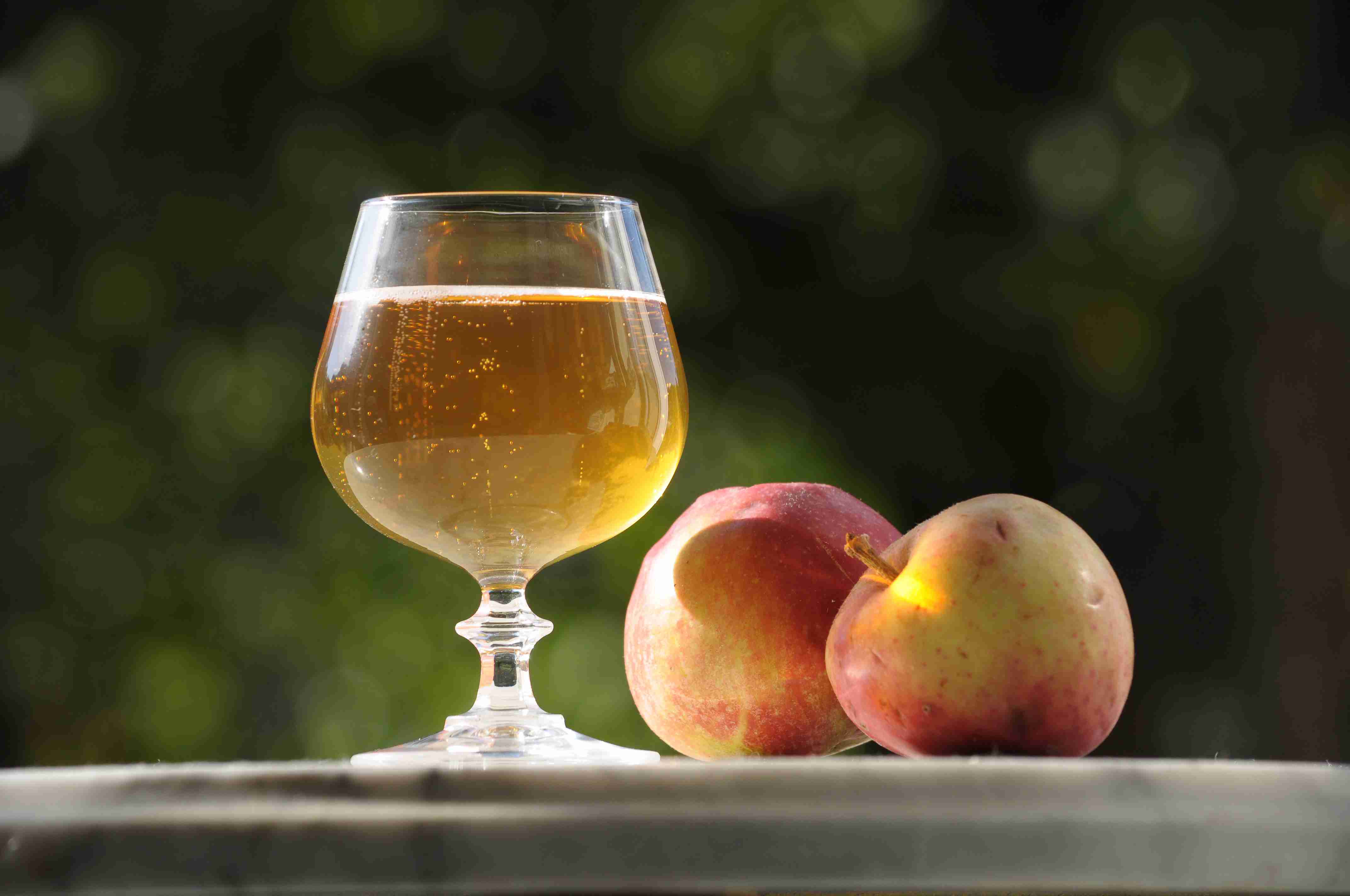 cidre (1)